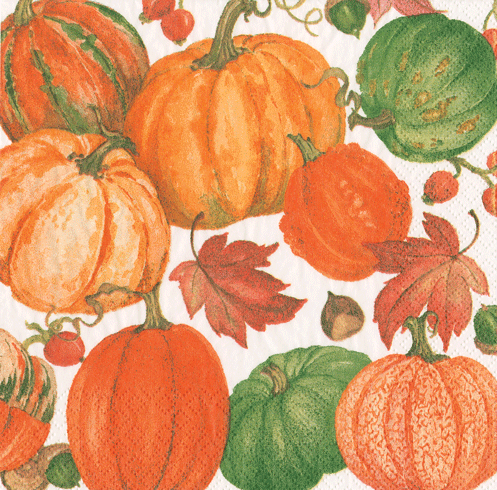 Pumpkin Field Napkins