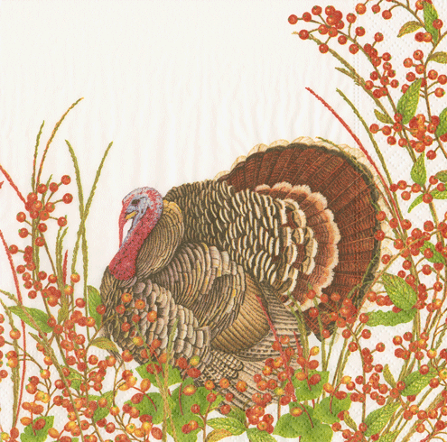 Turkey & Berries Napkins