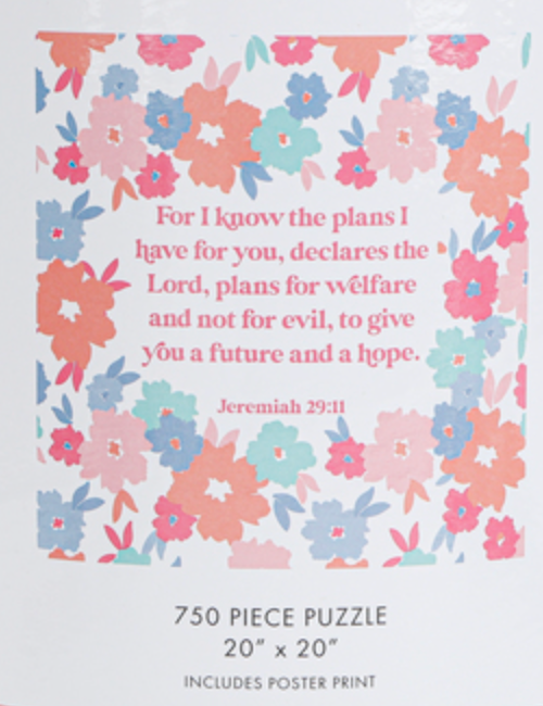 For I Know the Plans Puzzle