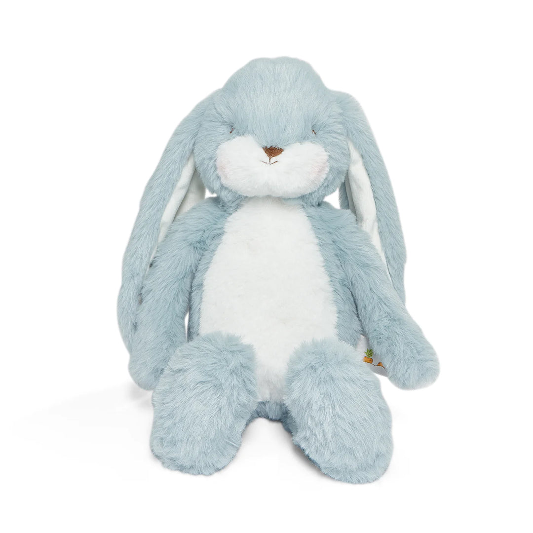 Little Floppy Bunny